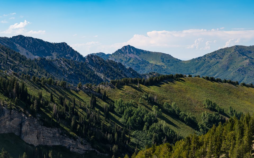 Taken on the Prince of Wales Mine trail at Alta. Green is my favorite color.
